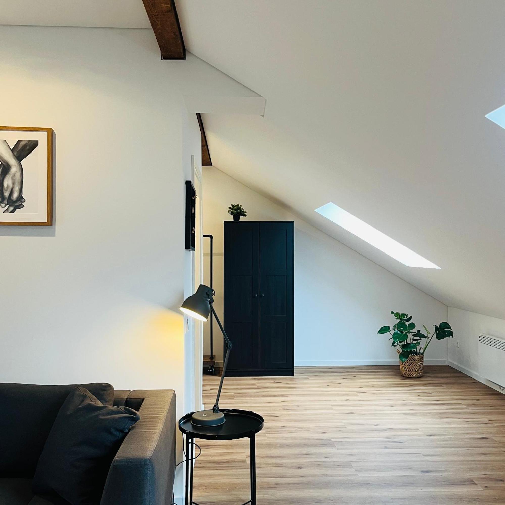 City Loft Apartment Bad Saeckingen Zewnętrze zdjęcie